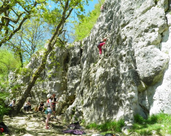 Le Saussois (Bourgogne)