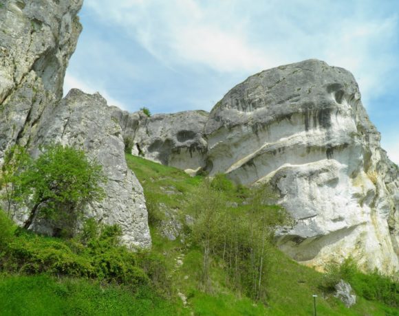 Le Saussois (Bourgogne)