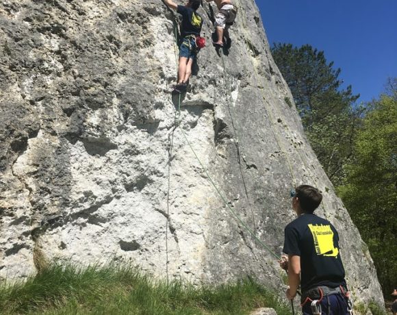 Le Saussois (Bourgogne)